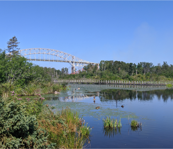 Landscape of a bridge over a lake